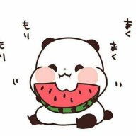 Pandakun